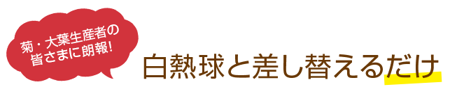 菊・大葉生産者の皆さまに朗報！白熱球と差し替えるだけ