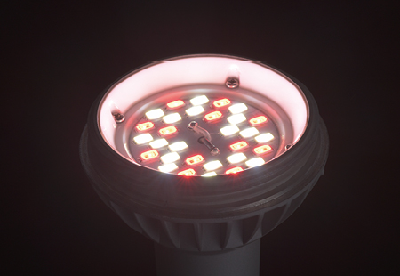 LED電球スイッチオン
